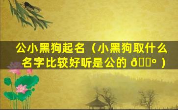 公小黑狗起名（小黑狗取什么名字比较好听是公的 🌺 ）